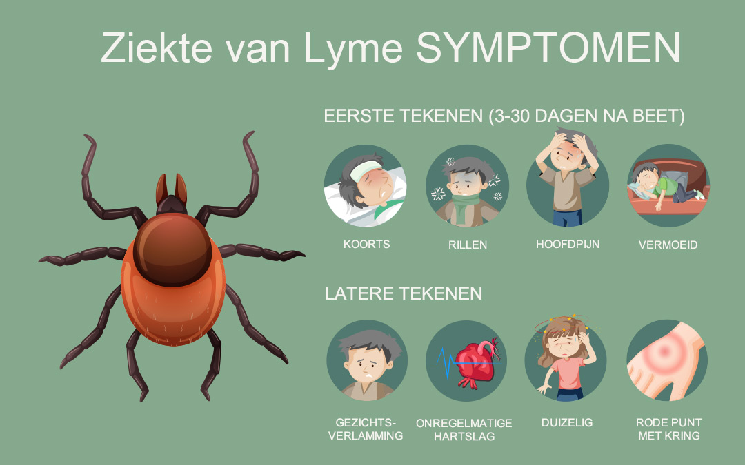 Lyme-tekenen